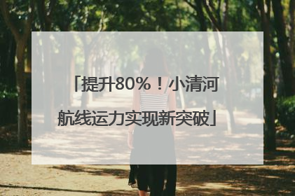 提升80％！小清河航线运力实现新突破